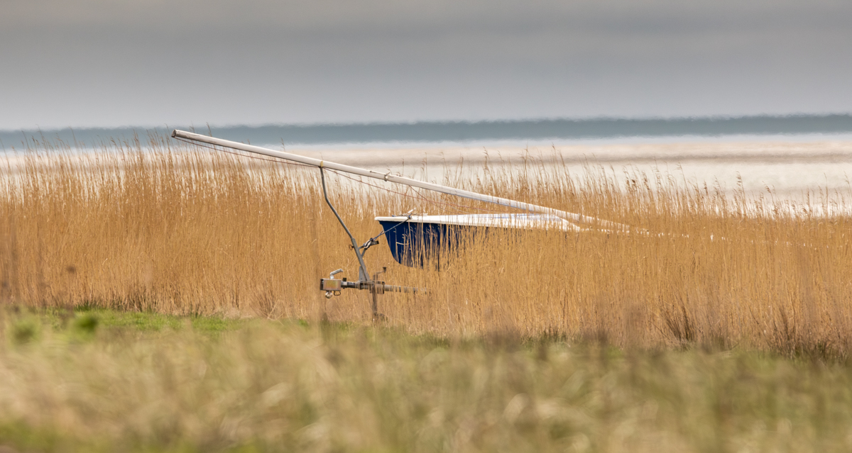 Blå båd gemt i tagrørene ved Vadehavet Blå båd gemt i tagrørene ved Vadehavet